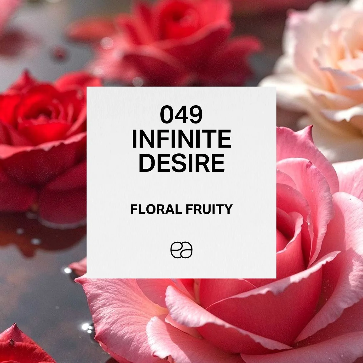 049 Infinite Desire
