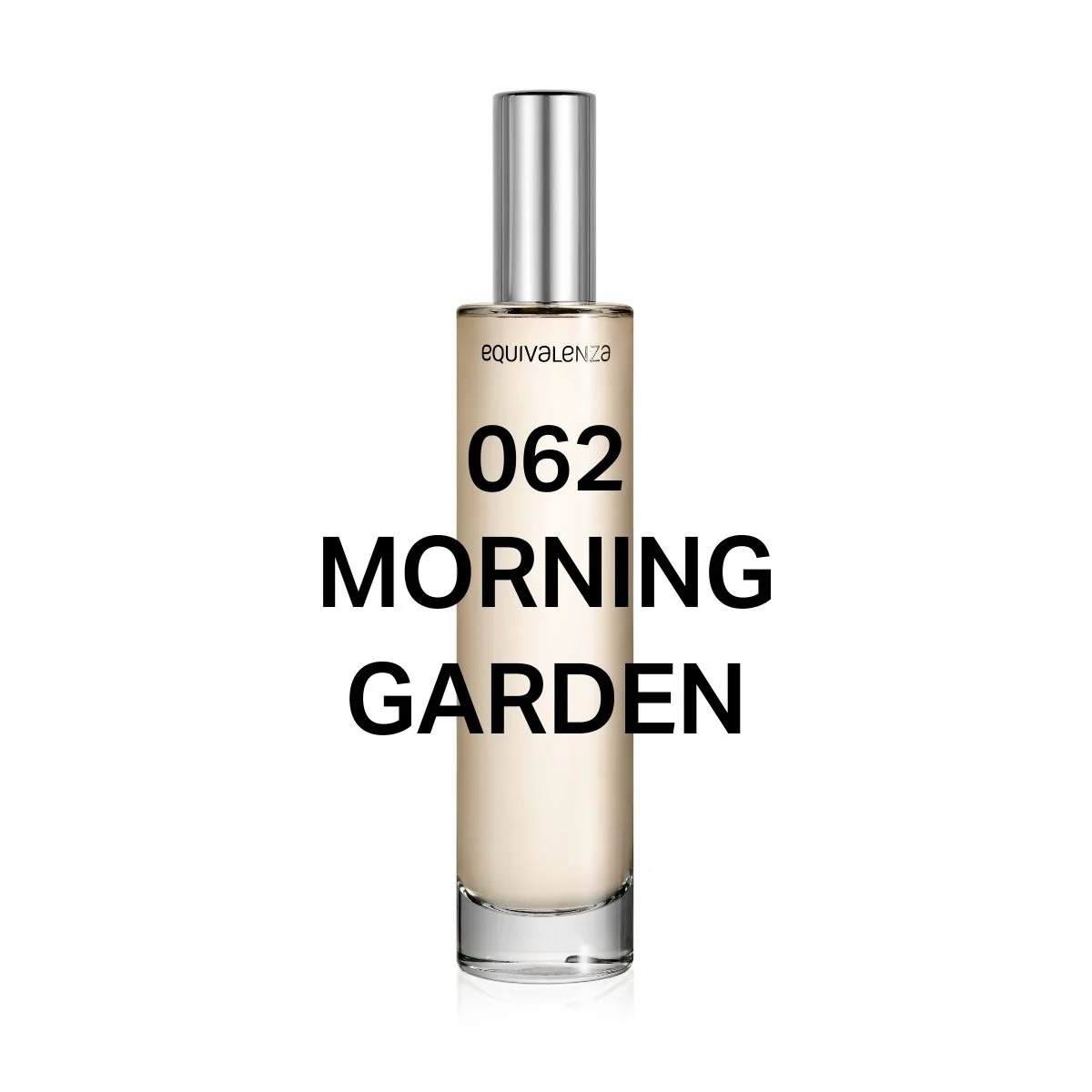 062 Morning Garden - Image 2