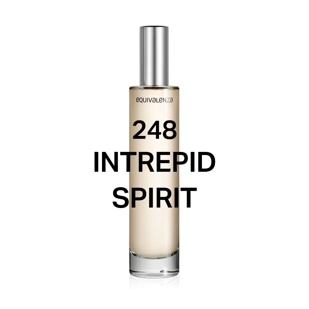248 Intrepid Spirit - Image 2