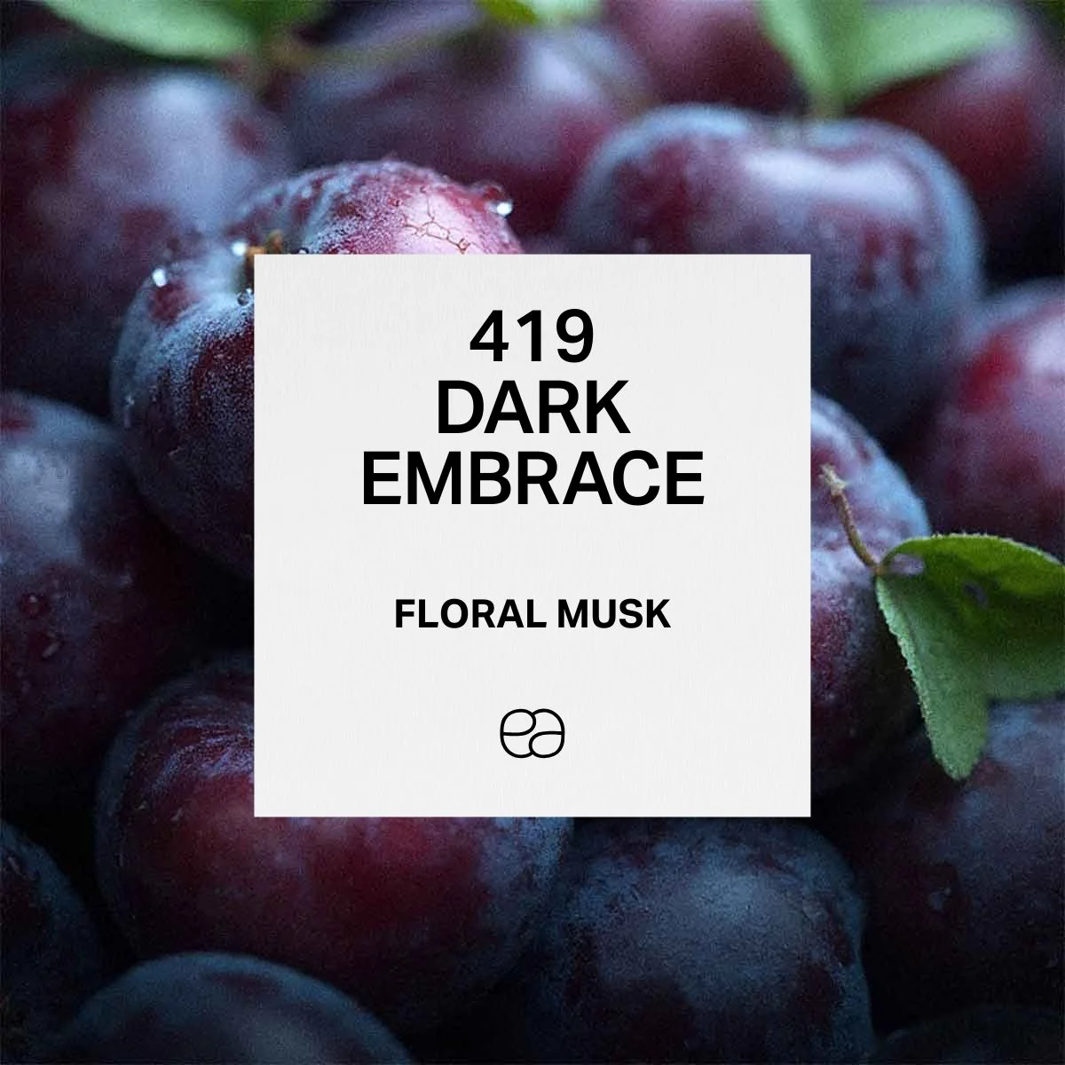 419 Dark Embrace