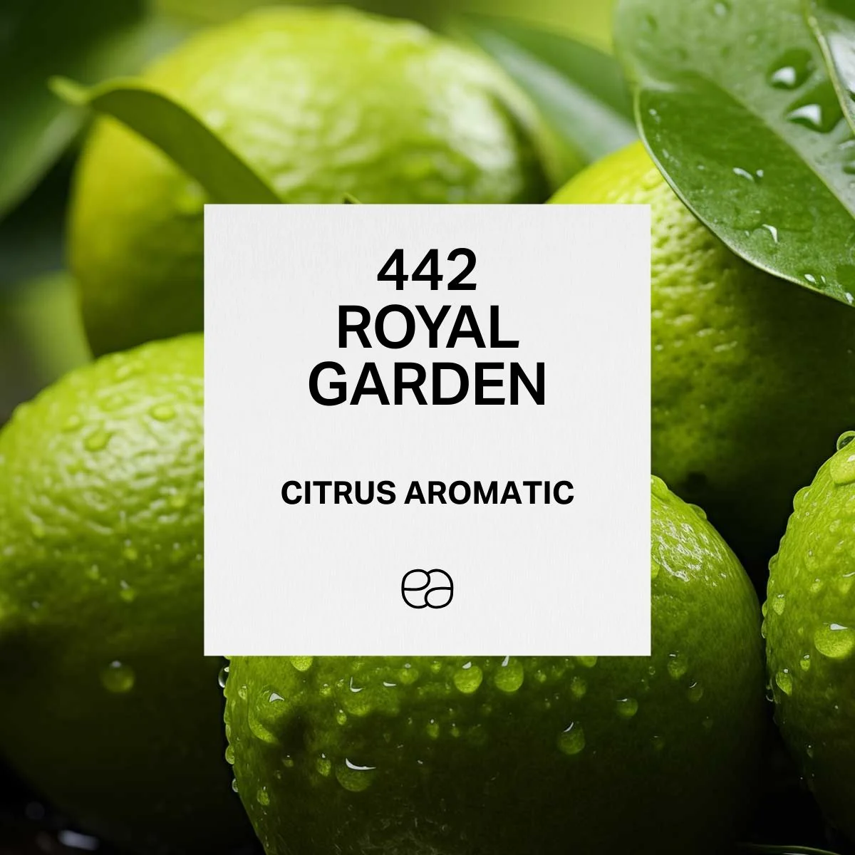 442 Royal Garden